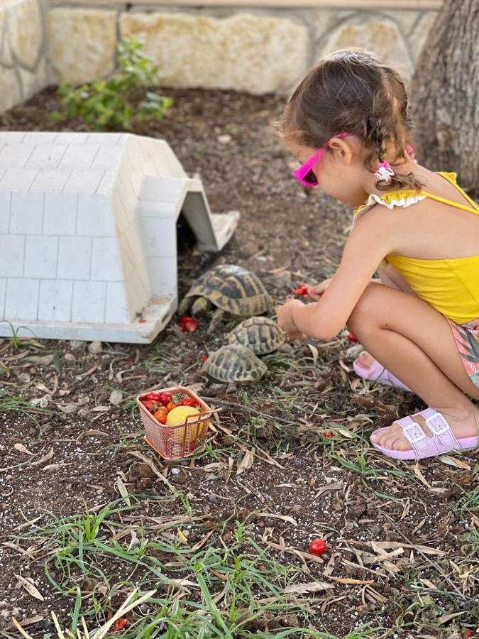 Vila Natali Χειμάρρα Εξωτερικό φωτογραφία
