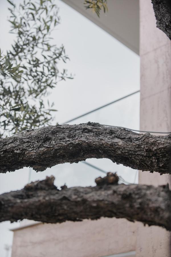 Vila Natali Χειμάρρα Εξωτερικό φωτογραφία